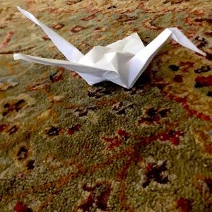 Meet your Posher, Sam